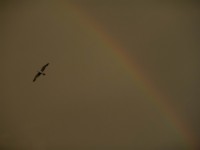 DSC08908.jpg