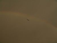 DSC08907.jpg