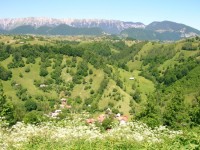 DSCN4419.JPG