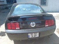 mustang_2.jpg