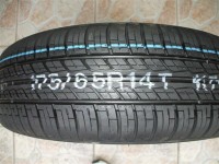 wv tibi 109 (Small).jpg