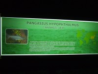 DSCF7801.JPG