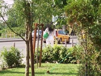 img_0748.jpg
