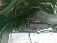 25062009.jpg