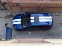 ford_linii albe5.jpg