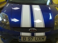 ford_linii albe3.jpg