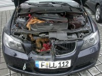 vulpe la motor.jpg