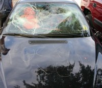 bmw rau.jpg
