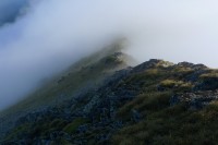 P1030828_resize.JPG