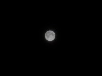 LunaPlina100%_1.jpg