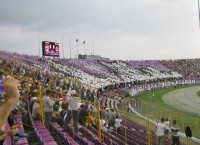 03.JPG