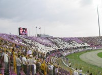 07.JPG