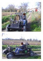 buggy new pic.jpg