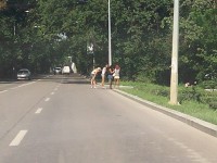 A3.jpg