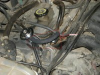 Poza furtun motor 16 zetec.JPG