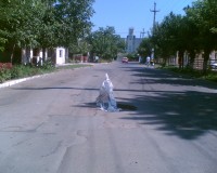 Imag003.jpg