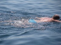 croaziera03.jpg (84.51 KiB) Vizualizat de 6622 ori croaziera03.jpg