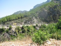 jeep safari02.jpg (117.16 KiB) Vizualizat de 7252 ori jeep safari02.jpg