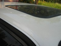 IMG_5212.JPG