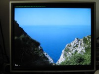 IMG_1149.JPG