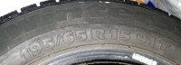 tigar%20003.jpg
