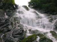 DSCN5739.JPG