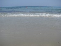 IMG_5237.JPG