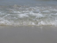IMG_5242.JPG