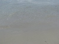 IMG_5238.JPG