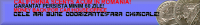 banner.php (1)232.png