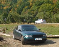 poze (99).JPG