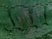 08102009(003).jpg (482.87 KiB) Vizualizat de 168 ori 08102009(003).jpg