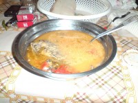DSC00072a.JPG