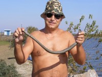 Se mai prinde si alceva in afara de peste.JPG