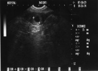 Copy of 1a_07_10_07.jpg