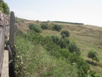 IMG_1166.jpg