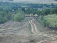IMG_1555.jpg