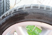 DSC_8029_resize_resize.jpg