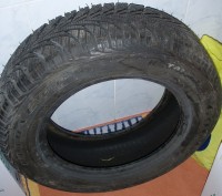 PB020006.JPG
