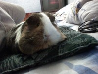 DSC00400.JPG
