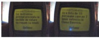 sms1.jpg