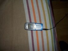 CIMG1073.JPG