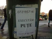 pute.jpg