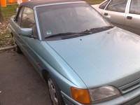 fata stinga mica.JPG