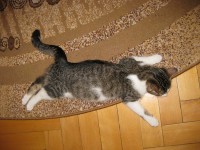 IMG_3222.JPG