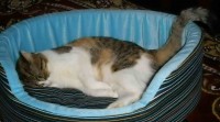 PC240111.jpg