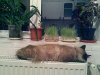 Imag056.jpg