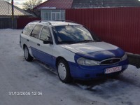 alen 028.JPG