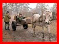 rus9.JPG