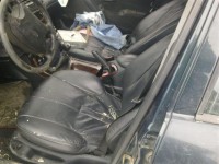 Imagine0062 (Small).jpg